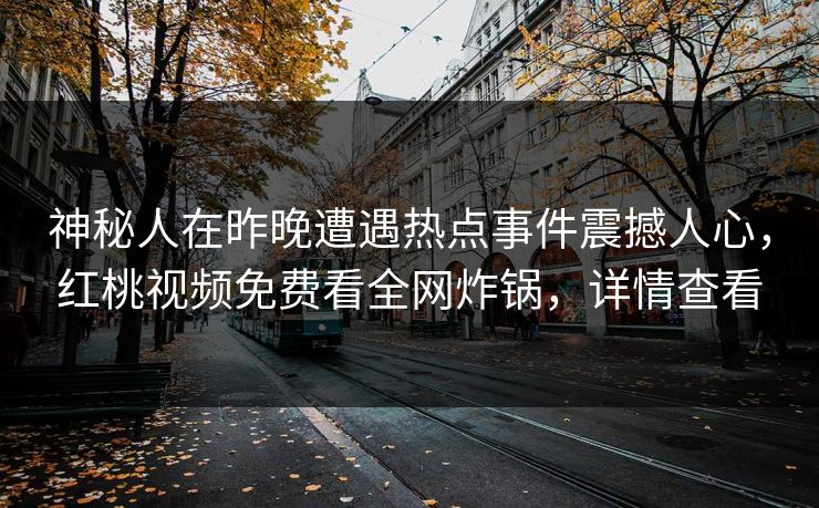 神秘人在昨晚遭遇热点事件震撼人心，红桃视频免费看全网炸锅，详情查看