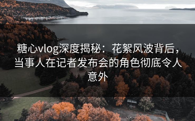 糖心vlog深度揭秘：花絮风波背后，当事人在记者发布会的角色彻底令人意外
