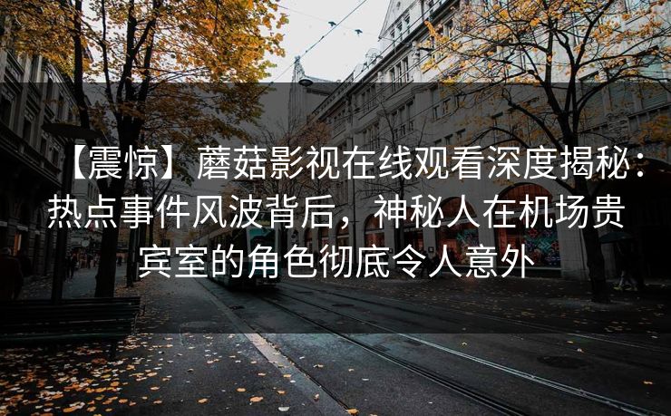 【震惊】蘑菇影视在线观看深度揭秘：热点事件风波背后，神秘人在机场贵宾室的角色彻底令人意外