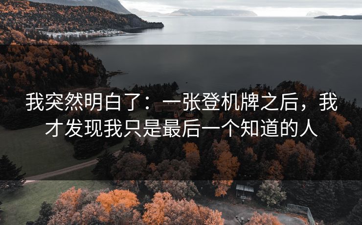 我突然明白了：一张登机牌之后，我才发现我只是最后一个知道的人