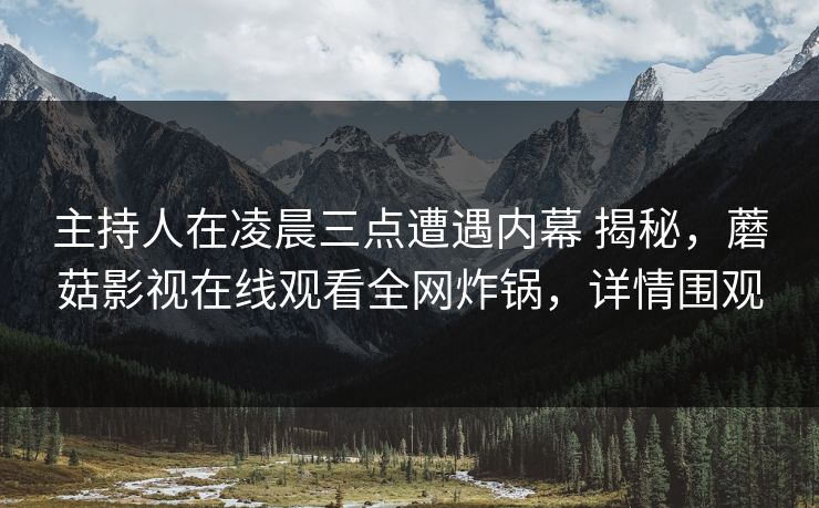 主持人在凌晨三点遭遇内幕 揭秘，蘑菇影视在线观看全网炸锅，详情围观